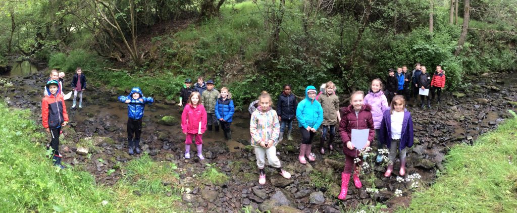 Year 4 trip to Coombes Valley – Hillside Primary School | Baddeley ...