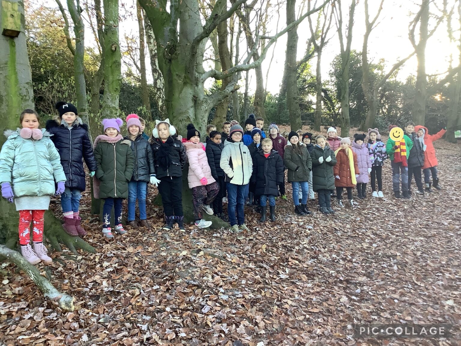 A Wonderful First Term In Year Four Hillside Primary School Baddeley Green Staffordshire 4983